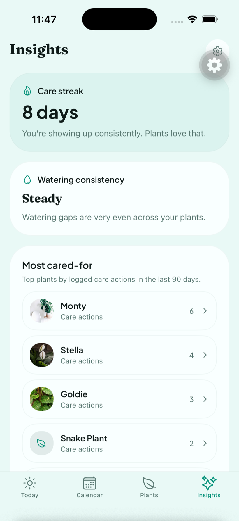 LeafCue insights screen with care streak and consistency
