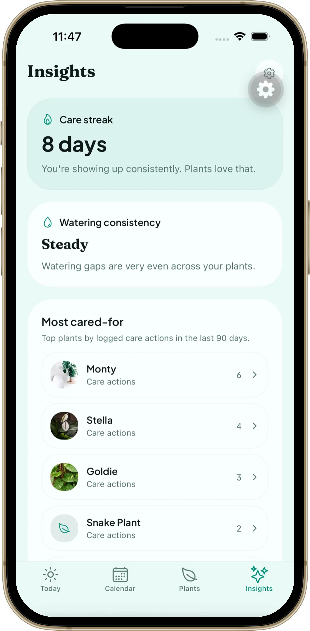 LeafCue insights screen with care streak and consistency