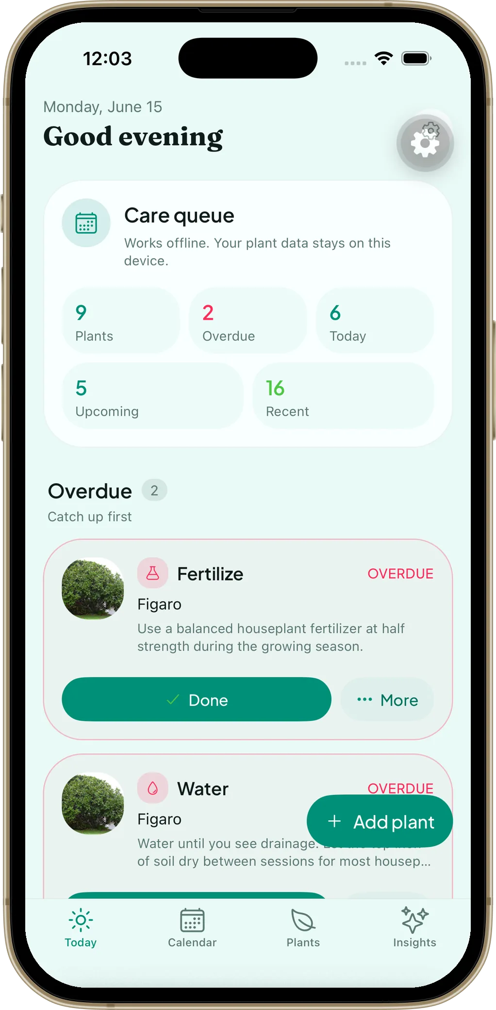 LeafCue Today screen showing the day’s plant care queue